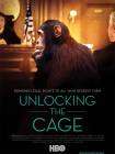Unlocking the Cage poster