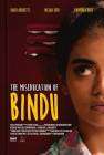 The MisEducation of Bindu poster