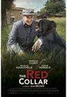 The Red Collar poster